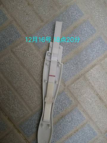 journal_insert_pic_908015628