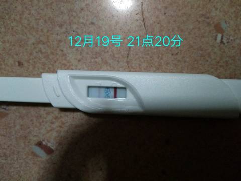 journal_insert_pic_908015665