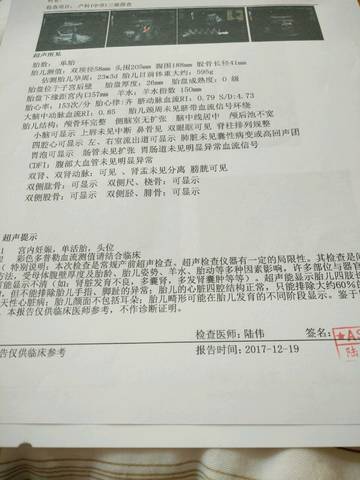 journal_insert_pic_908221417