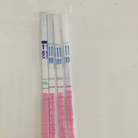 journal_insert_pic_909431247
