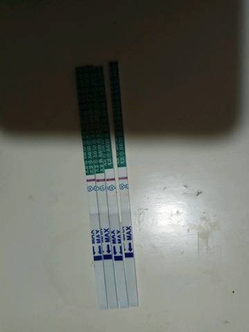journal_insert_pic_909501632