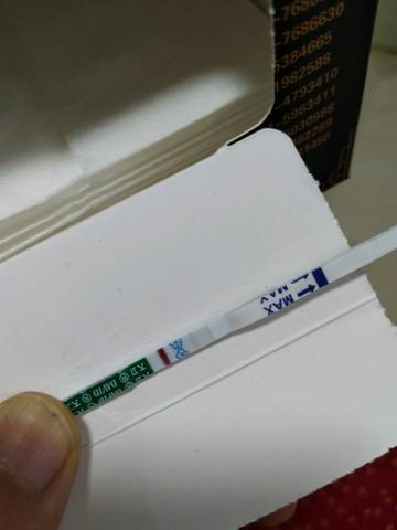 journal_insert_pic_910079621