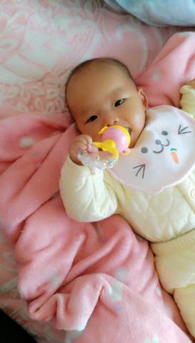 journal_insert_pic_910175645