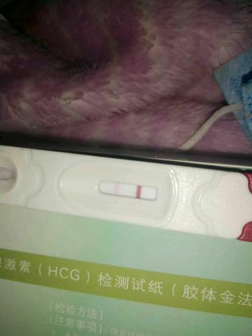 journal_insert_pic_909999457