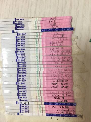 journal_insert_pic_911077634