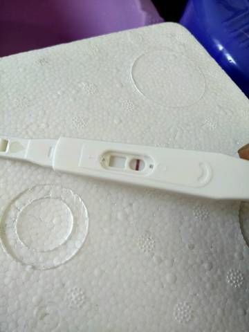 journal_insert_pic_910975711
