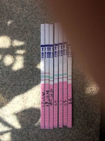 journal_insert_pic_911699044