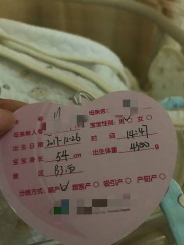 journal_insert_pic_912651901