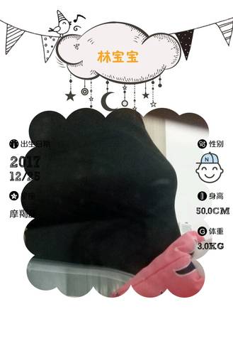 journal_insert_pic_912612057