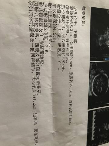 journal_insert_pic_912536263