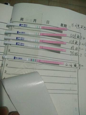 journal_insert_pic_912717196