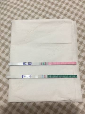 journal_insert_pic_914805959