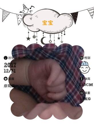 journal_insert_pic_915991575