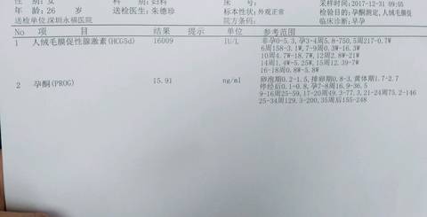 journal_insert_pic_916202698