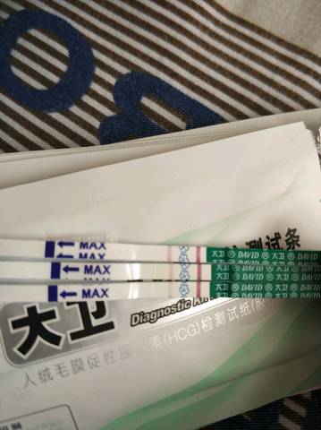 journal_insert_pic_916510470