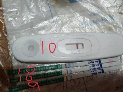 journal_insert_pic_917225245