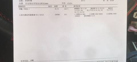 journal_insert_pic_918040874