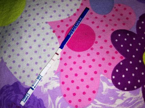 journal_insert_pic_917910445