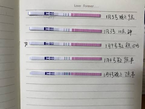 journal_insert_pic_919084181