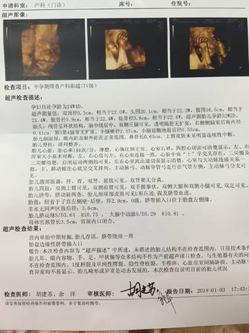 journal_insert_pic_918695074