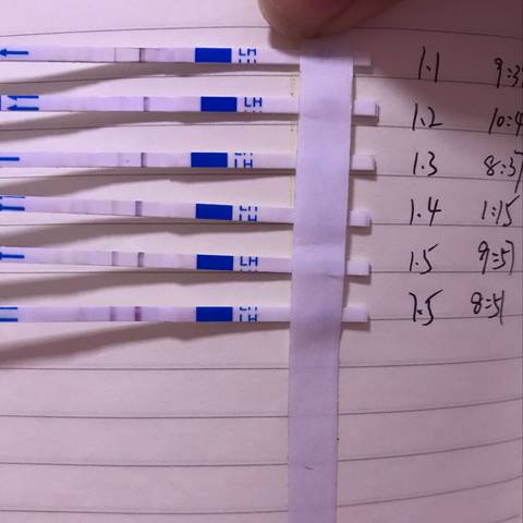 journal_insert_pic_919746037