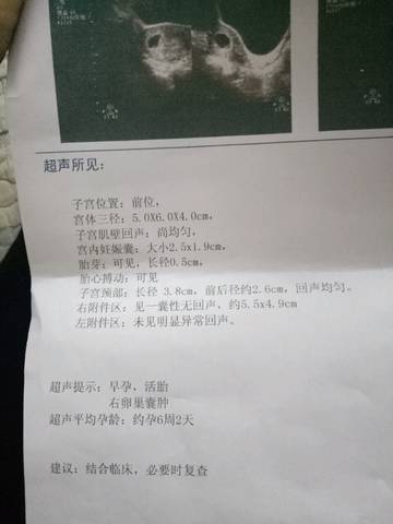 journal_insert_pic_920400554
