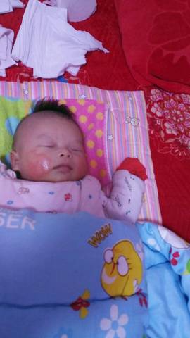 journal_insert_pic_920533171