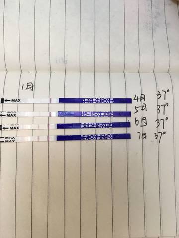 journal_insert_pic_920868247