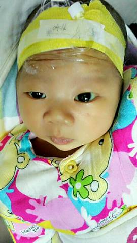 journal_insert_pic_920645714