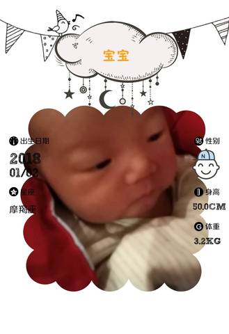 journal_insert_pic_921394372