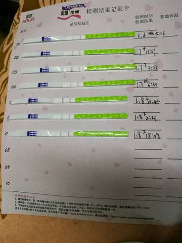 journal_insert_pic_921751681