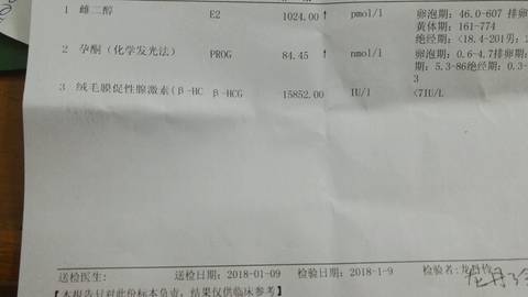 journal_insert_pic_922225406
