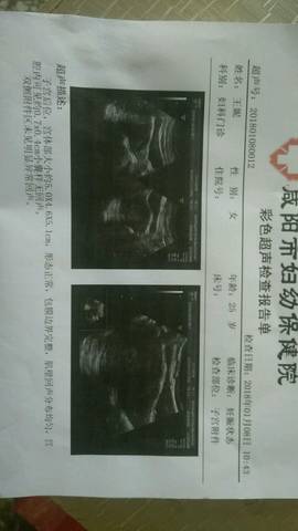 journal_insert_pic_922722217