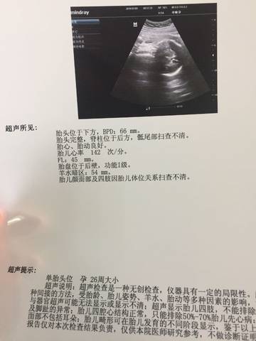 journal_insert_pic_922634026