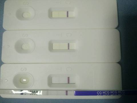 journal_insert_pic_923182765