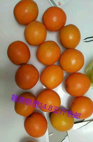 journal_insert_pic_923737635