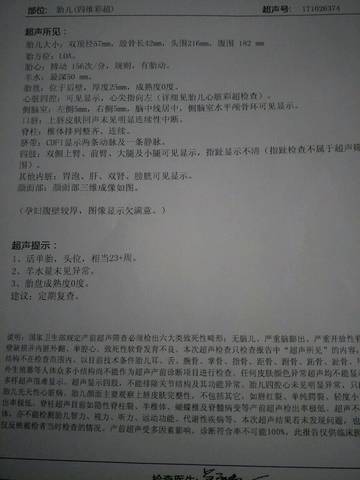 journal_insert_pic_923293427
