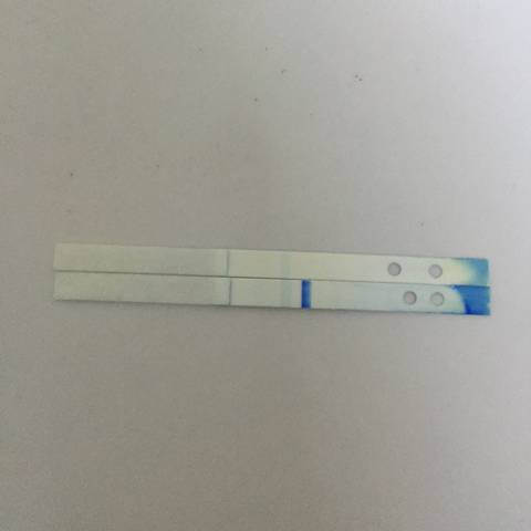 journal_insert_pic_924175650