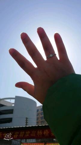 journal_insert_pic_924296206