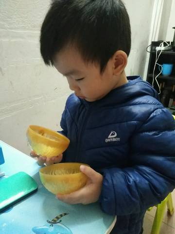 journal_insert_pic_924558120