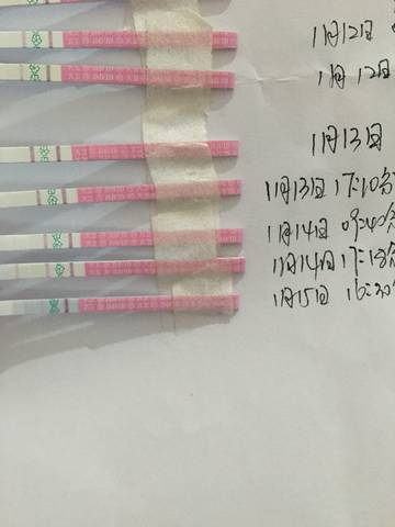 journal_insert_pic_926060178