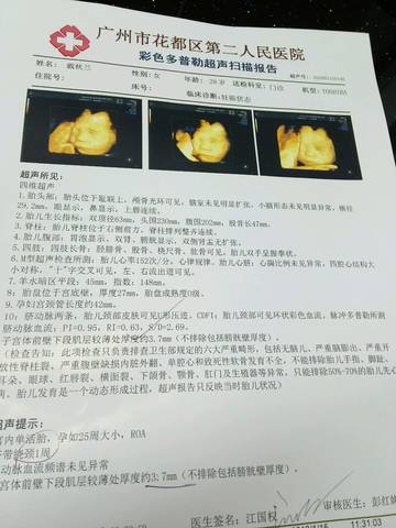 journal_insert_pic_926039685