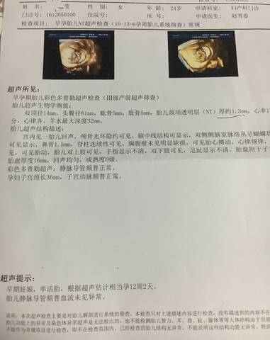 journal_insert_pic_926200234