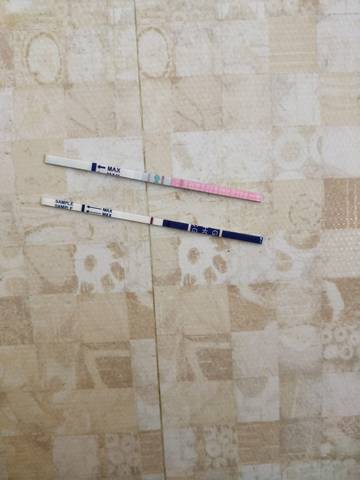 journal_insert_pic_926358067