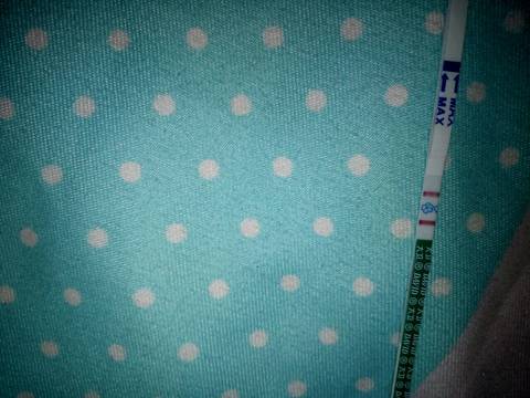 journal_insert_pic_926337479