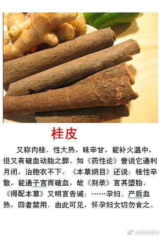 journal_insert_pic_926550576