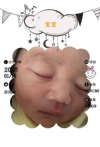 journal_insert_pic_926543234