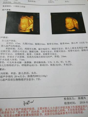 journal_insert_pic_927498825