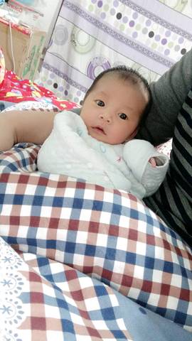 journal_insert_pic_927347580