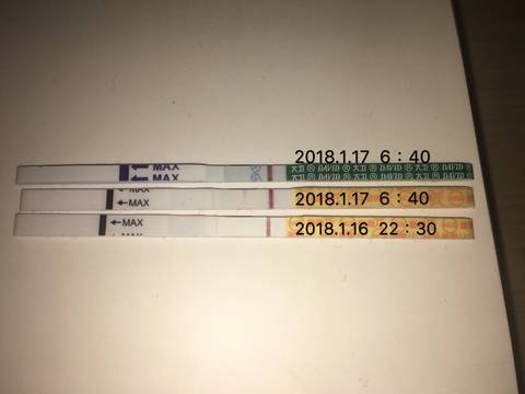 journal_insert_pic_927033108